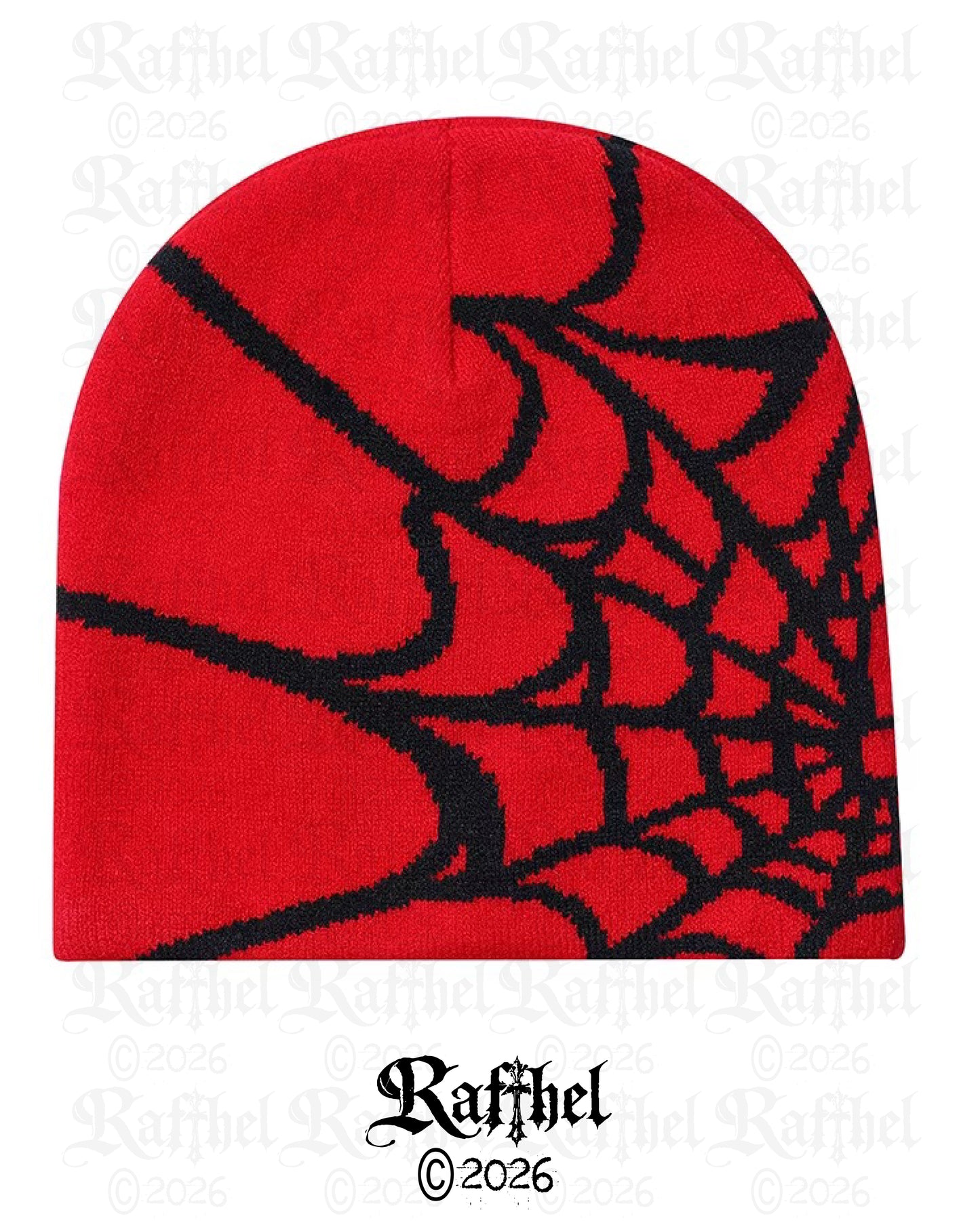 BEANIE SPIDER WEB